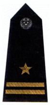 młodszy brygadier
