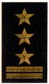 starszy brygadier starszy brygadier