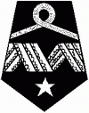 Prezes zarządu głównego